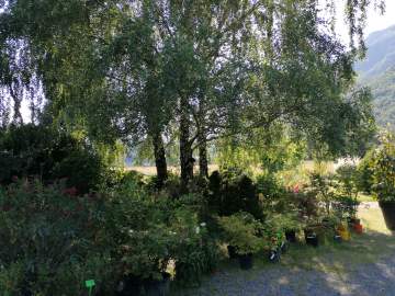 Paysagiste spécialisé en aménagement de jardins, parcs et allées