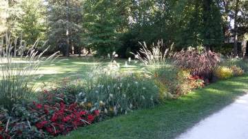 Arrivée de plantes graminées, Nouveauté