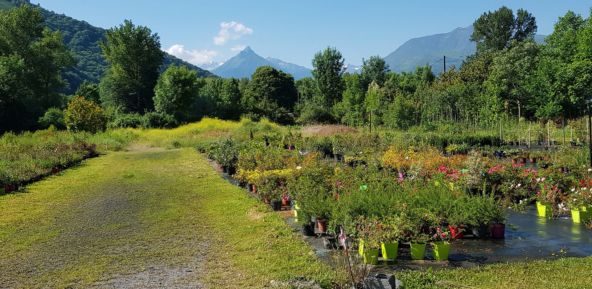 Site naturel classé un bol d’air d’un hectare Contactez-moi
